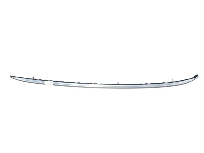 51137481073 EXMAESTRO otros BMW iX3 G08 BEV, X3 G01