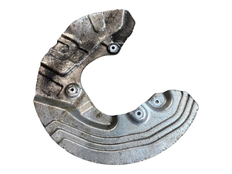 6787310 Placa protección disco delantero X1 E84